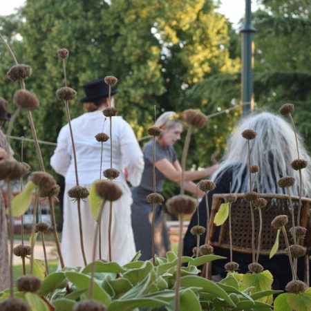 WWU-four-characters-and-seedheads